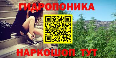 ALPHA PVP Комсомольск-на-Амуре