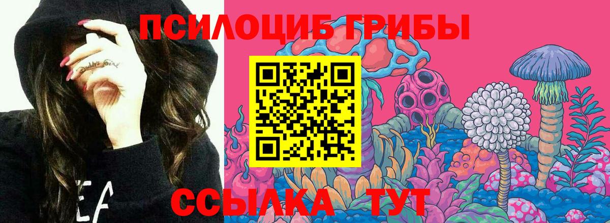 Приморско-Ахтарск  Галлюциногенные грибы GOLDEN TEACHER  Вход с VPN  Галлюциногенные грибы MAGIC MUSHROOMS 