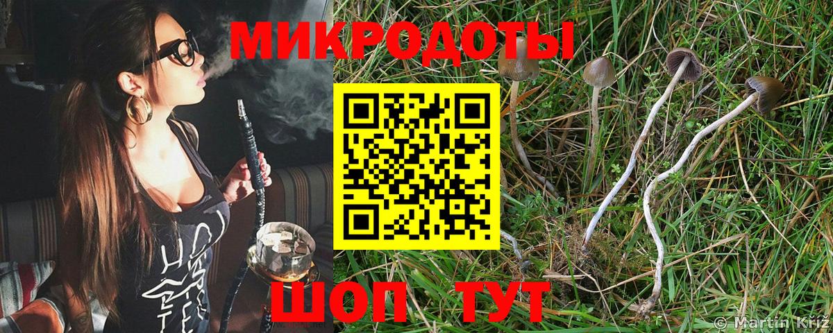 Псилоцибиновые грибы прущие грибы Приморско-Ахтарск